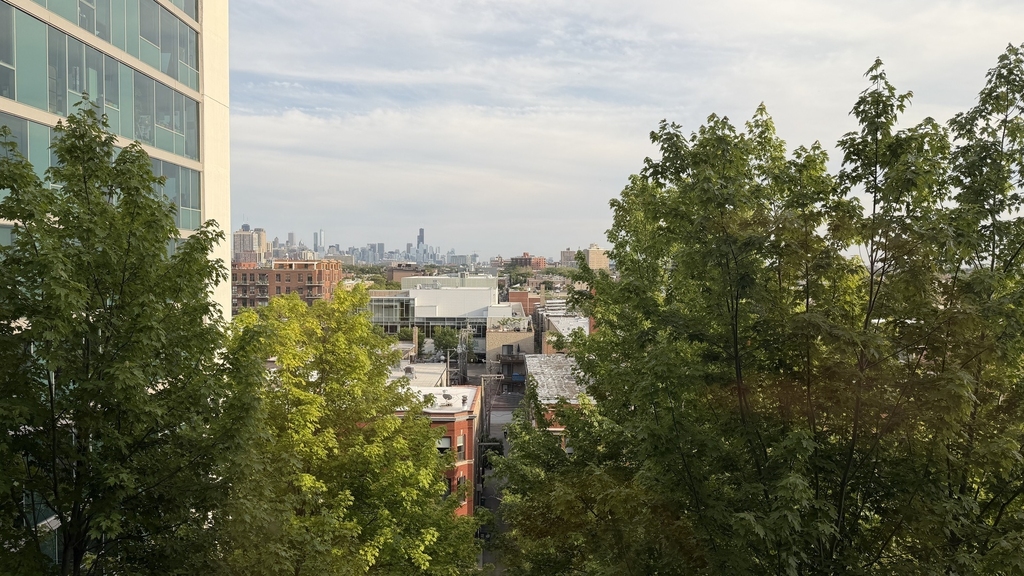 3740 N Halsted Street - Photo 9
