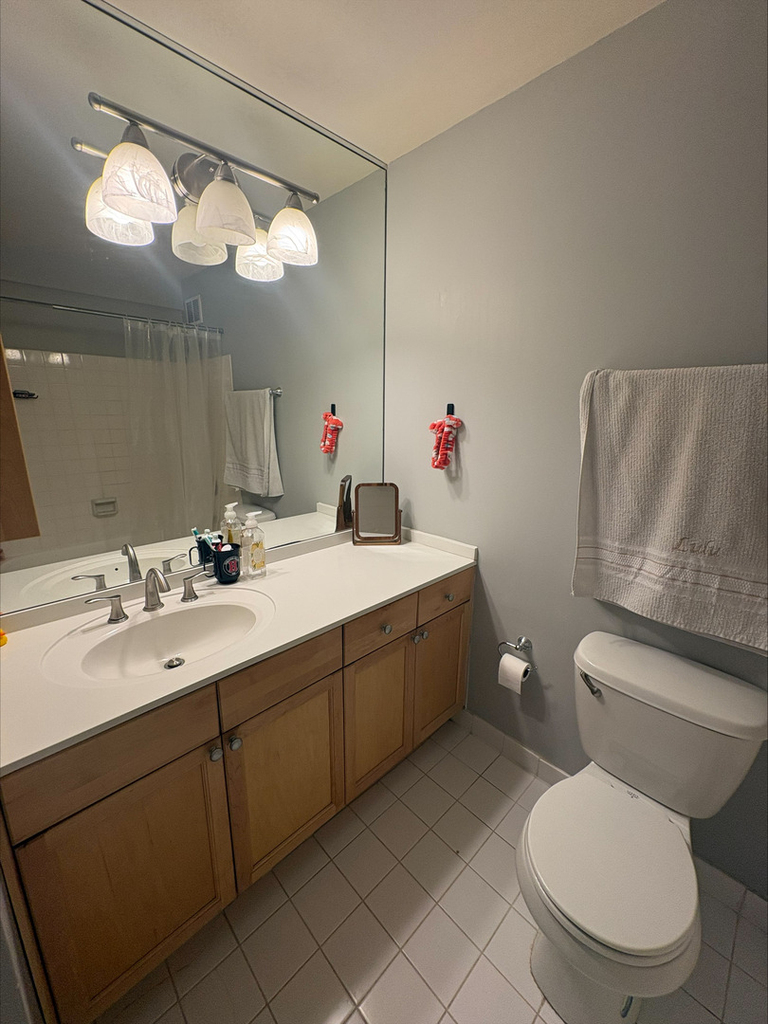 474 N Lake Shore Drive - Photo 8