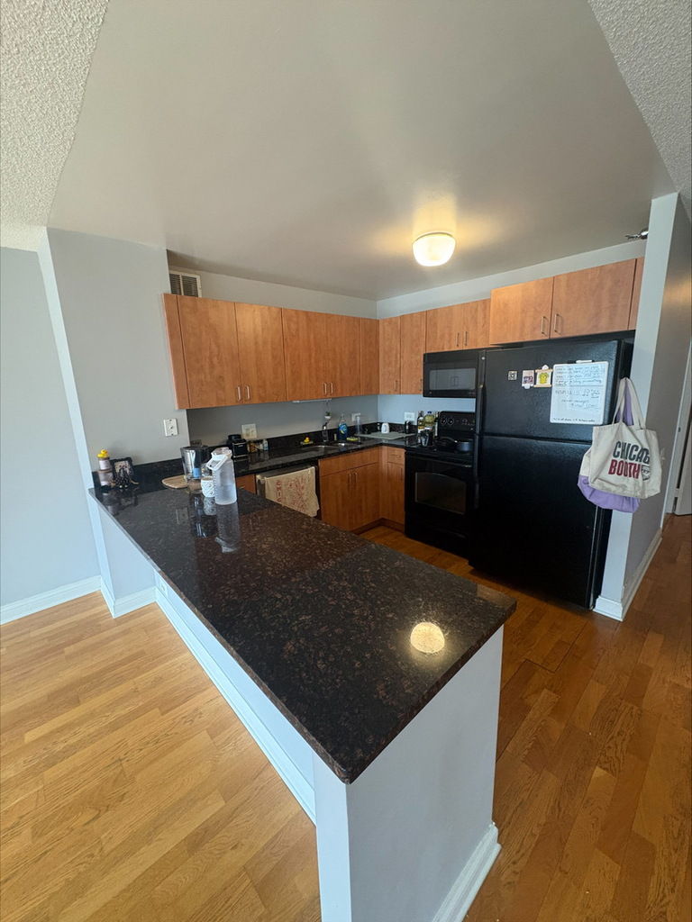 474 N Lake Shore Drive - Photo 2