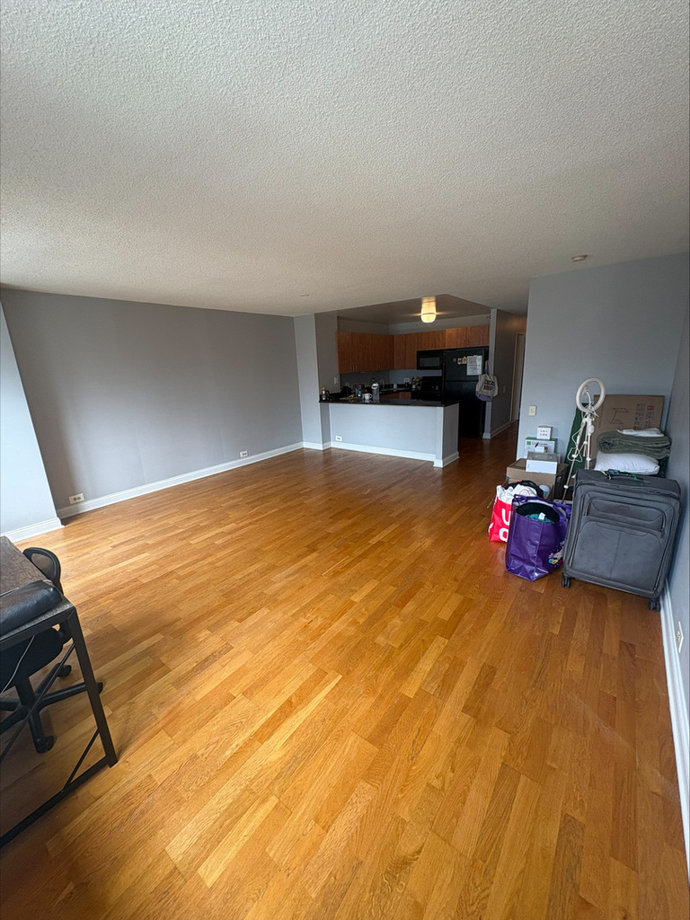 474 N Lake Shore Drive - Photo 6