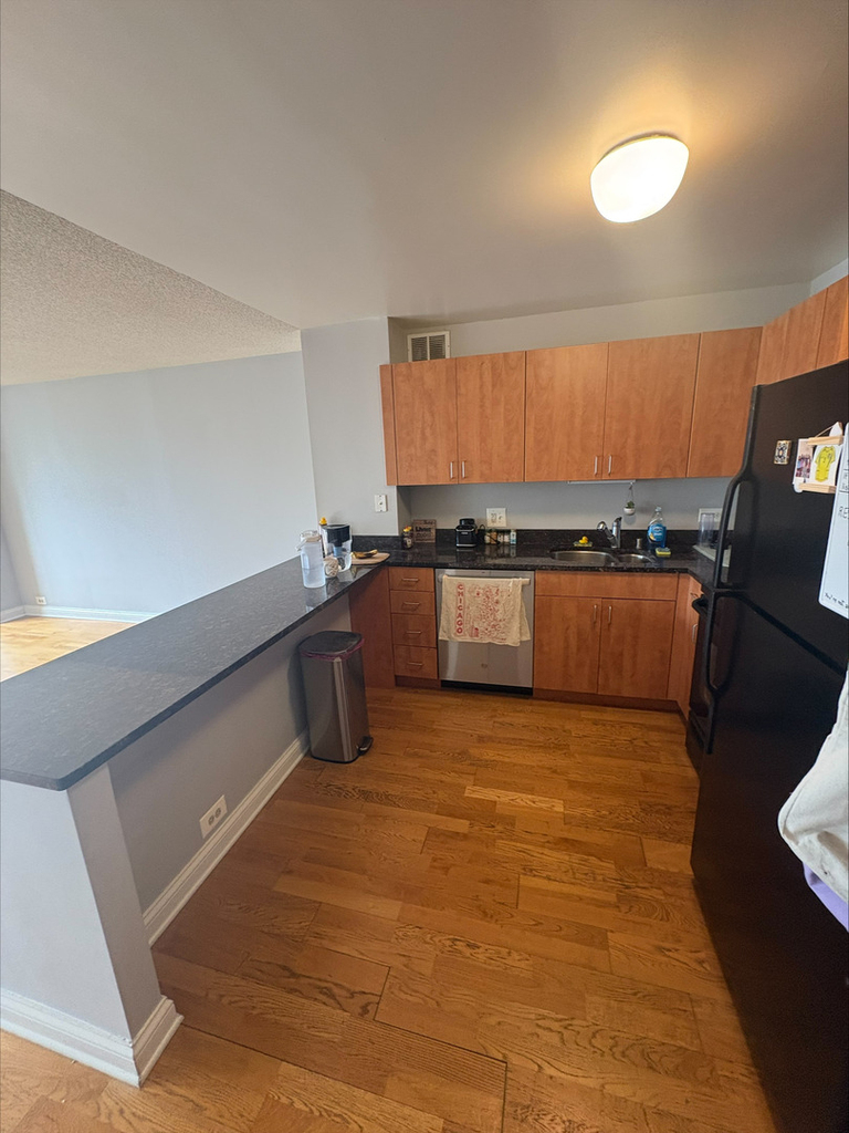 474 N Lake Shore Drive - Photo 3