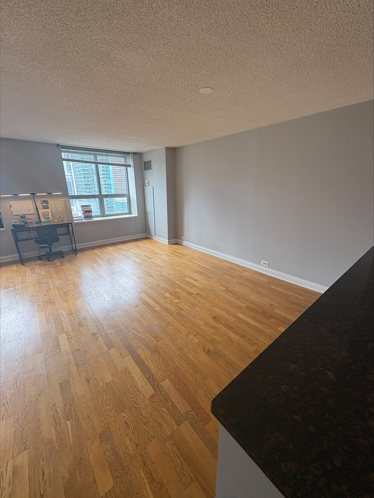 474 N Lake Shore Drive - Photo 4