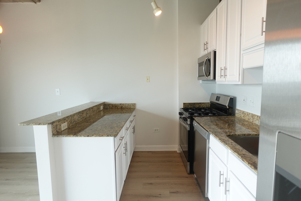 1550 S Blue Island Avenue - Photo 13