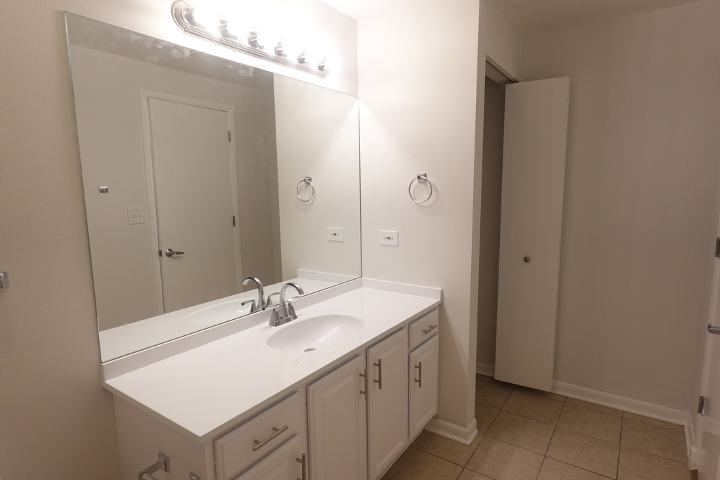 1550 S Blue Island Avenue - Photo 19
