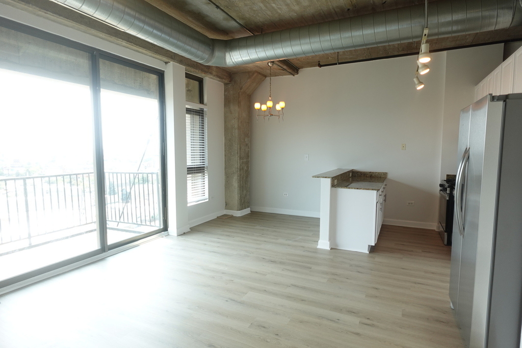 1550 S Blue Island Avenue - Photo 6