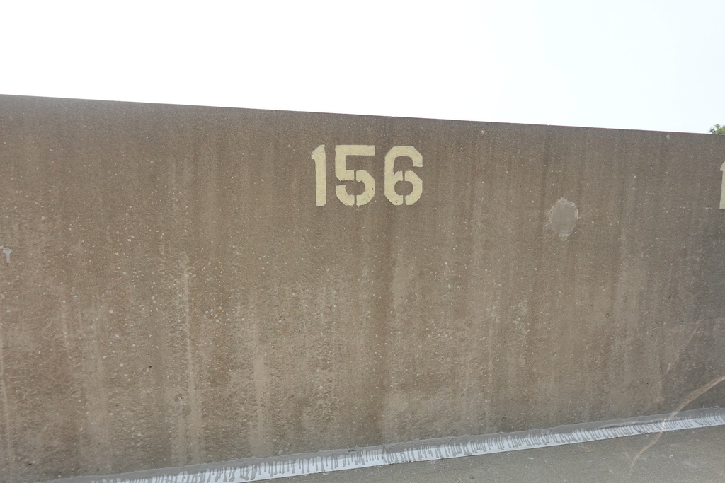 1550 S Blue Island Avenue - Photo 2