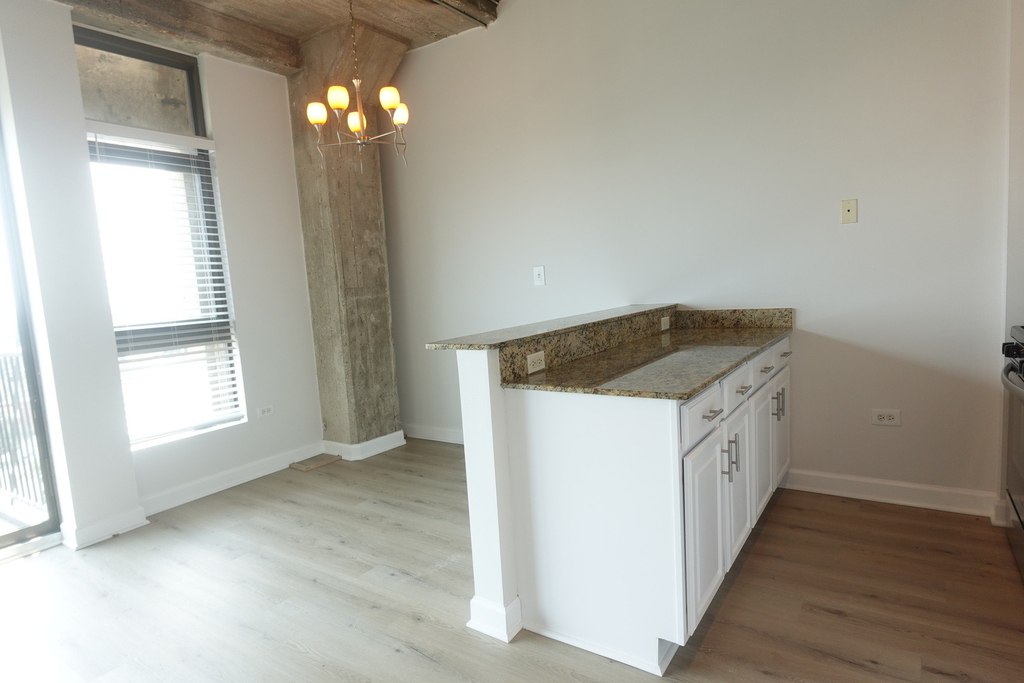 1550 S Blue Island Avenue - Photo 12