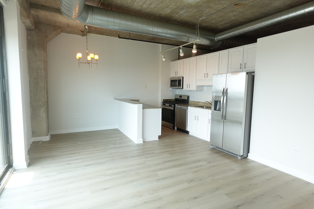 1550 S Blue Island Avenue - Photo 7