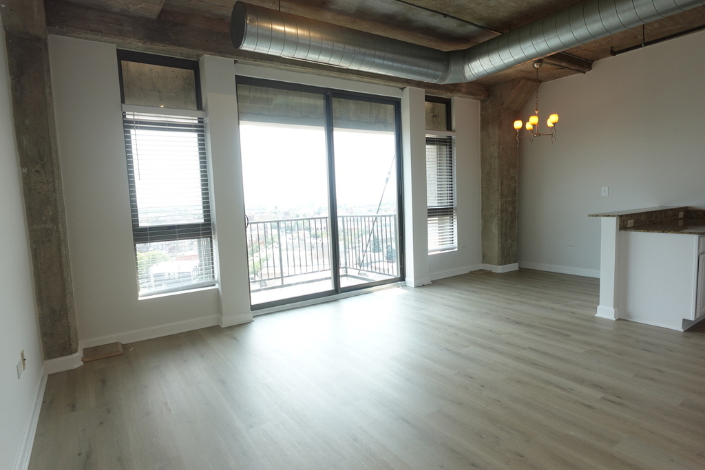 1550 S Blue Island Avenue - Photo 5