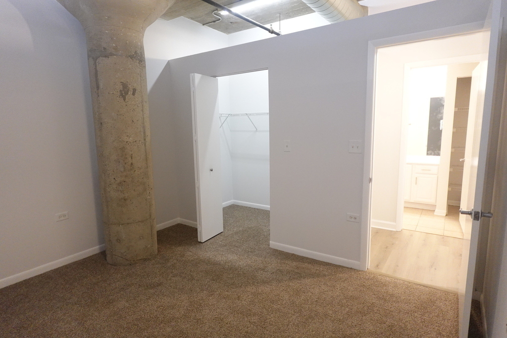 1550 S Blue Island Avenue - Photo 22