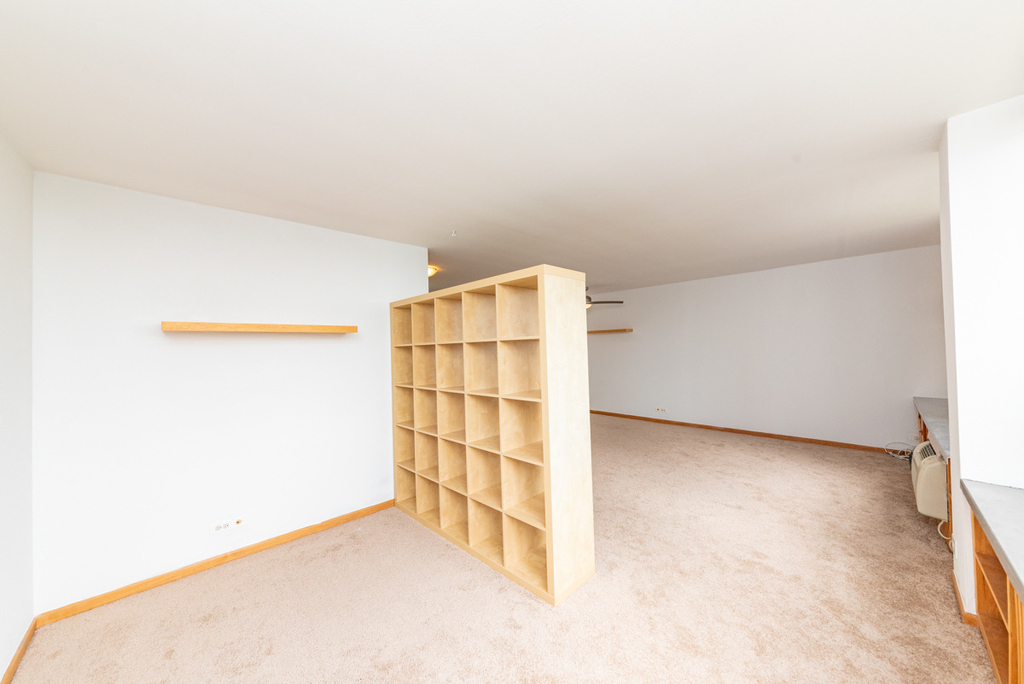 1455 N Sandburg Terrace - Photo 4