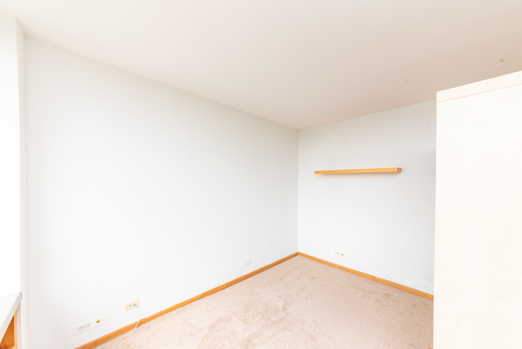 1455 N Sandburg Terrace - Photo 3