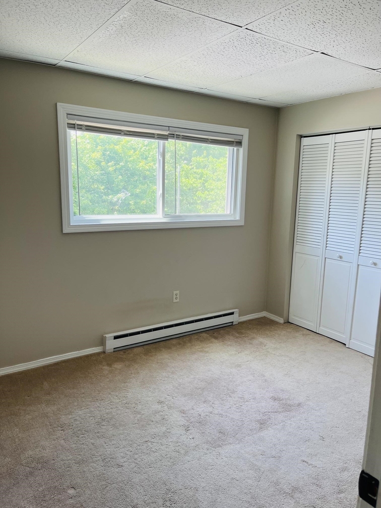 45c Constitution - Photo 9