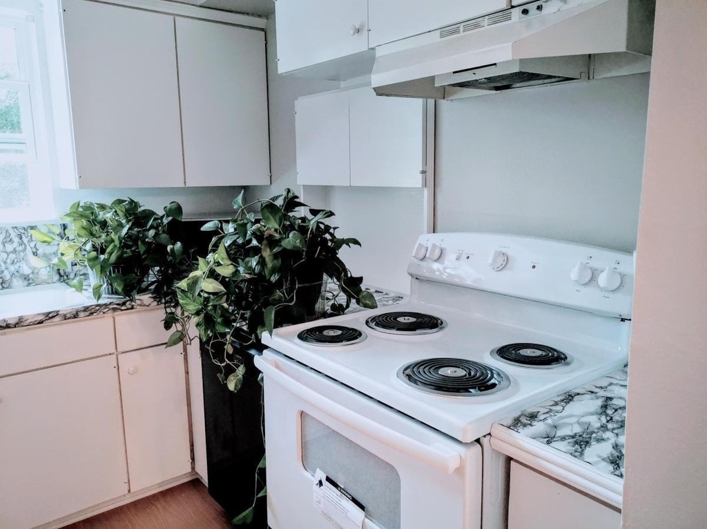 5527 Darnell Street - Photo 16