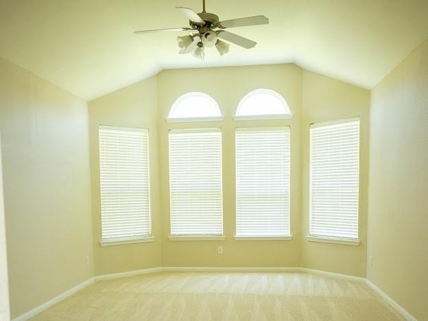 10007 Shire Green Lane - Photo 7