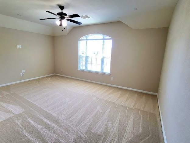 10007 Shire Green Lane - Photo 39