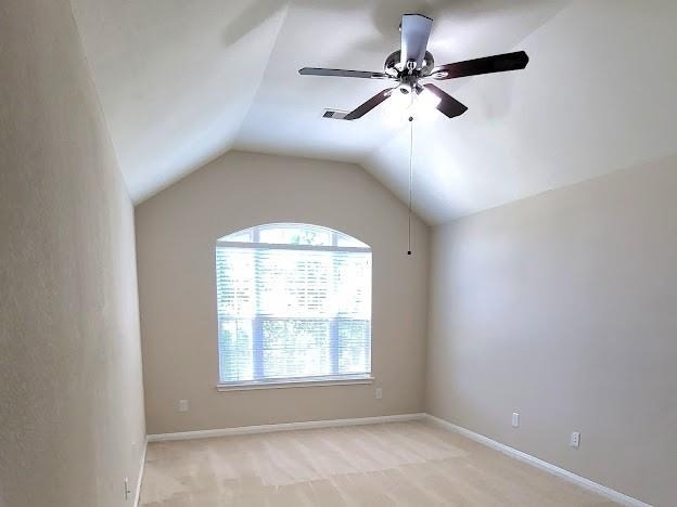 10007 Shire Green Lane - Photo 43