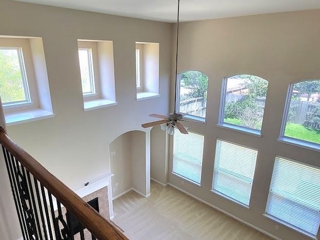 10007 Shire Green Lane - Photo 16