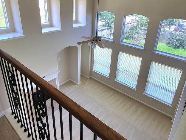 10007 Shire Green Lane - Photo 17