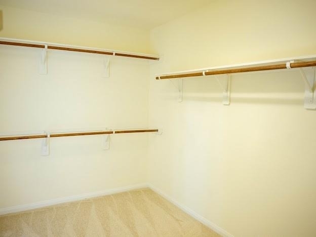 10007 Shire Green Lane - Photo 10