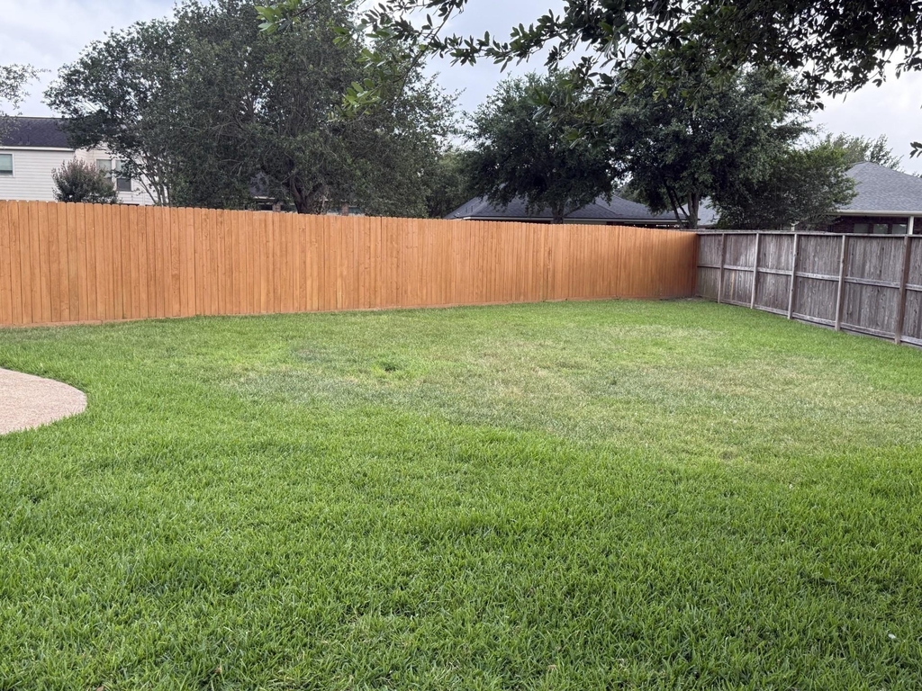 28139 Canyon Wren Drive - Photo 42