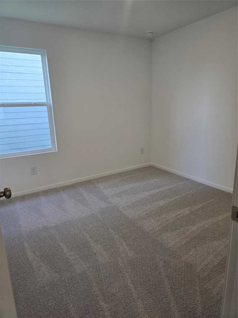 21606 Willow River Canyon Lane - Photo 4