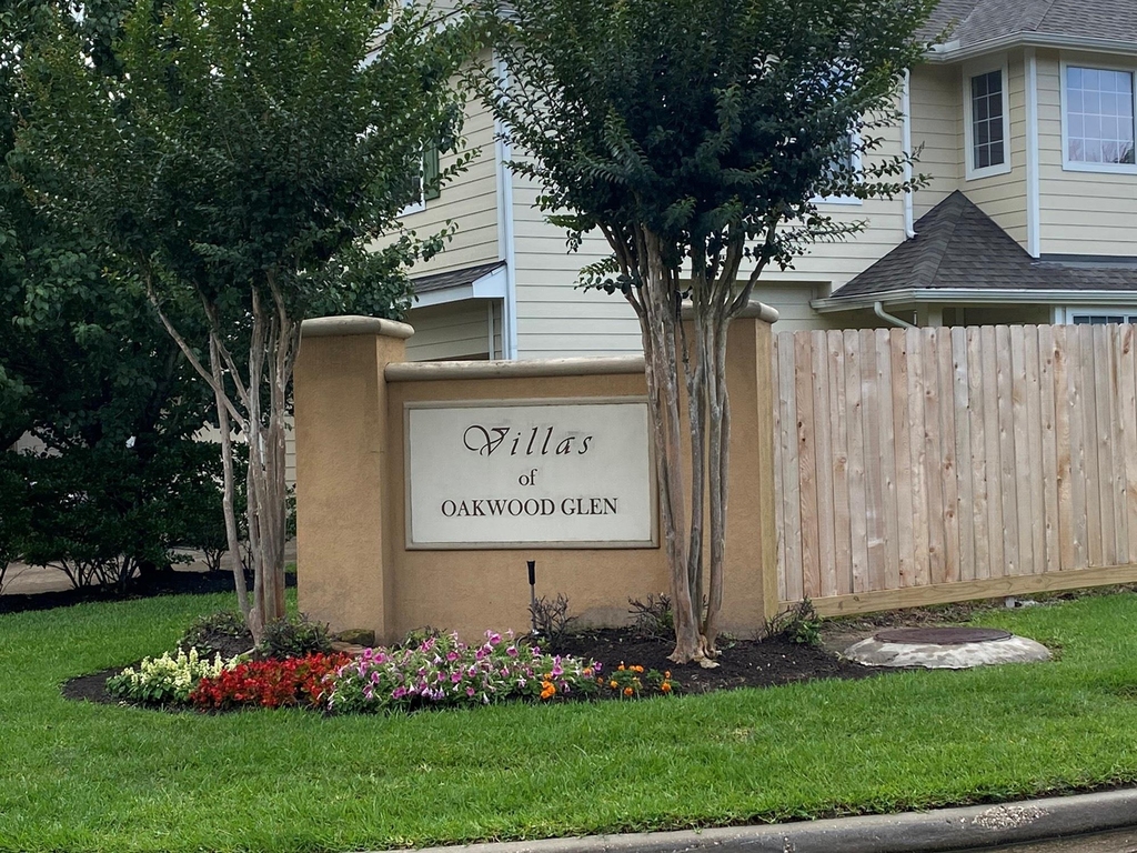 17234 Oakwood Chase Drive - Photo 0