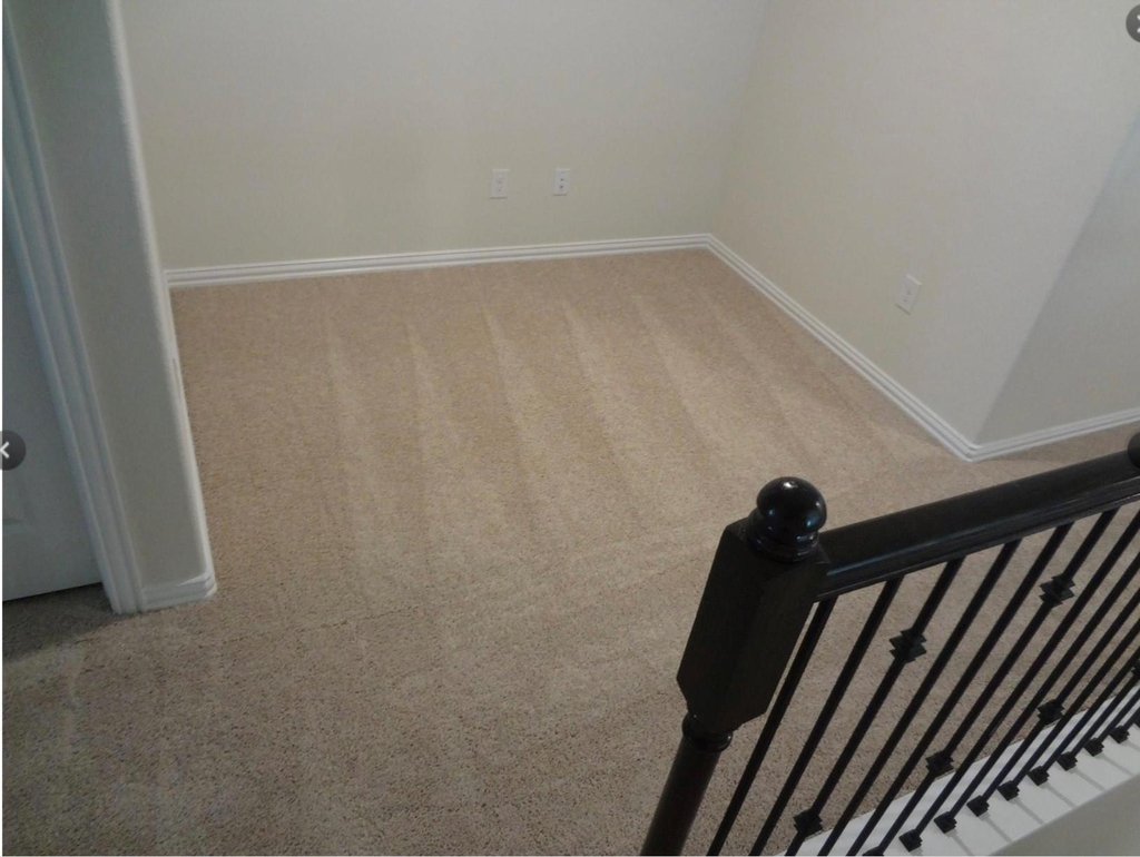 1627 Ryon Falls Drive - Photo 4