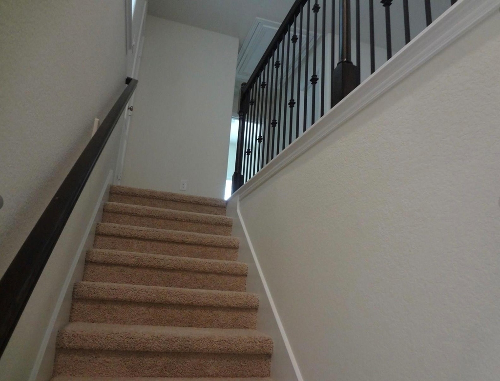 1627 Ryon Falls Drive - Photo 6
