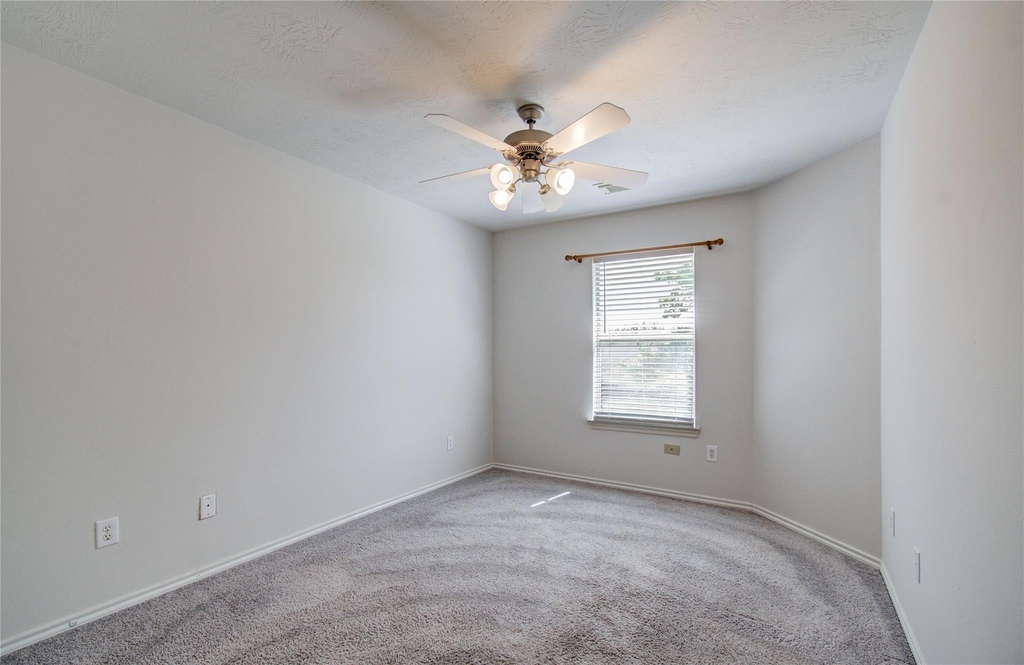 15103 Petal Rose Court - Photo 25