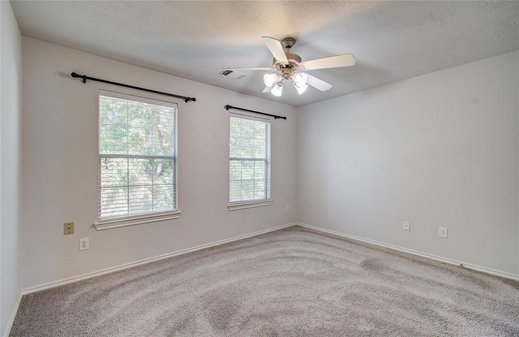 15103 Petal Rose Court - Photo 22