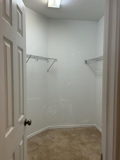 3618 Primrose Trace Lane - Photo 16