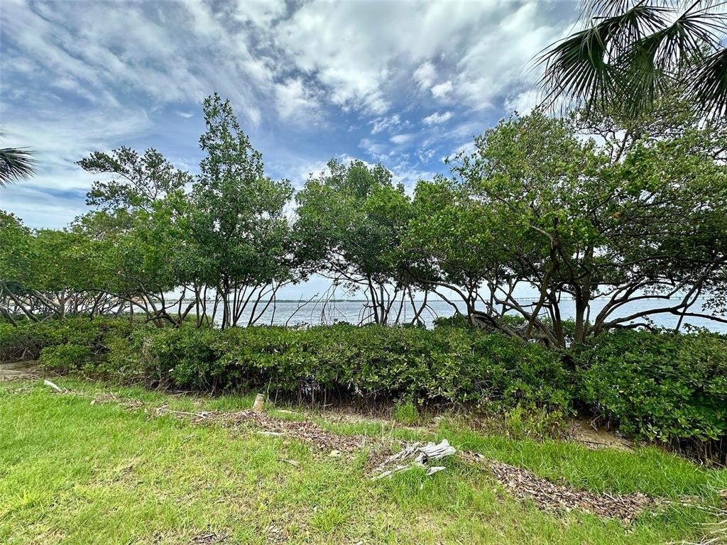 2617 Cove Cay Drive - Photo 52