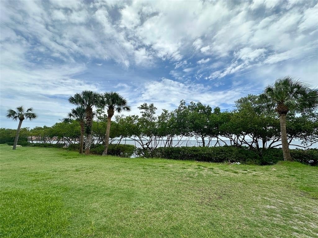 2617 Cove Cay Drive - Photo 53