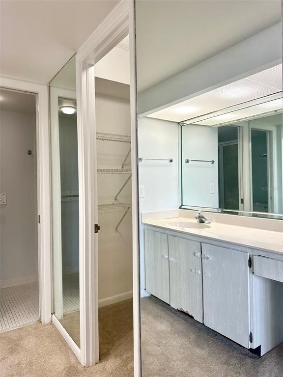 2617 Cove Cay Drive - Photo 22