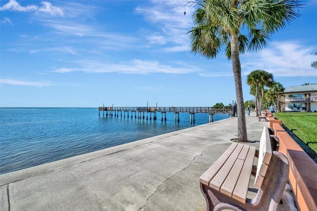 650 Pinellas Point Drive S - Photo 33