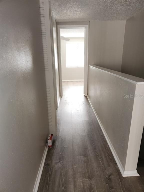 5507 Pokeweed Court - Photo 7