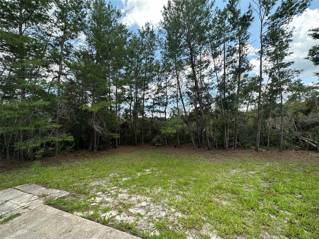 1230 Silverdale Street - Photo 16