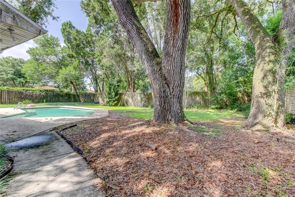 10406 Reclinata Lane - Photo 50