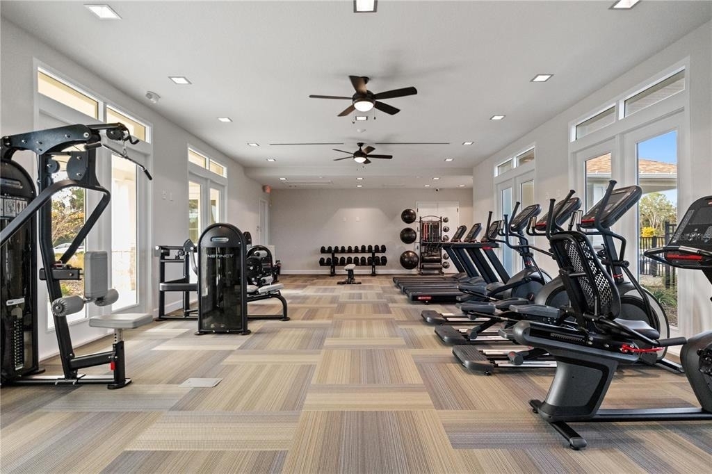 8258 Cortese Drive - Photo 34