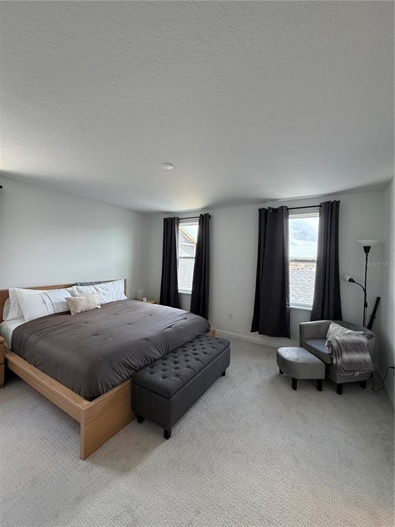 13881 Easdale Alley - Photo 21