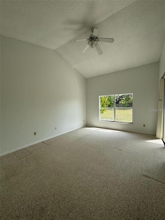 6724 Callie Road - Photo 14