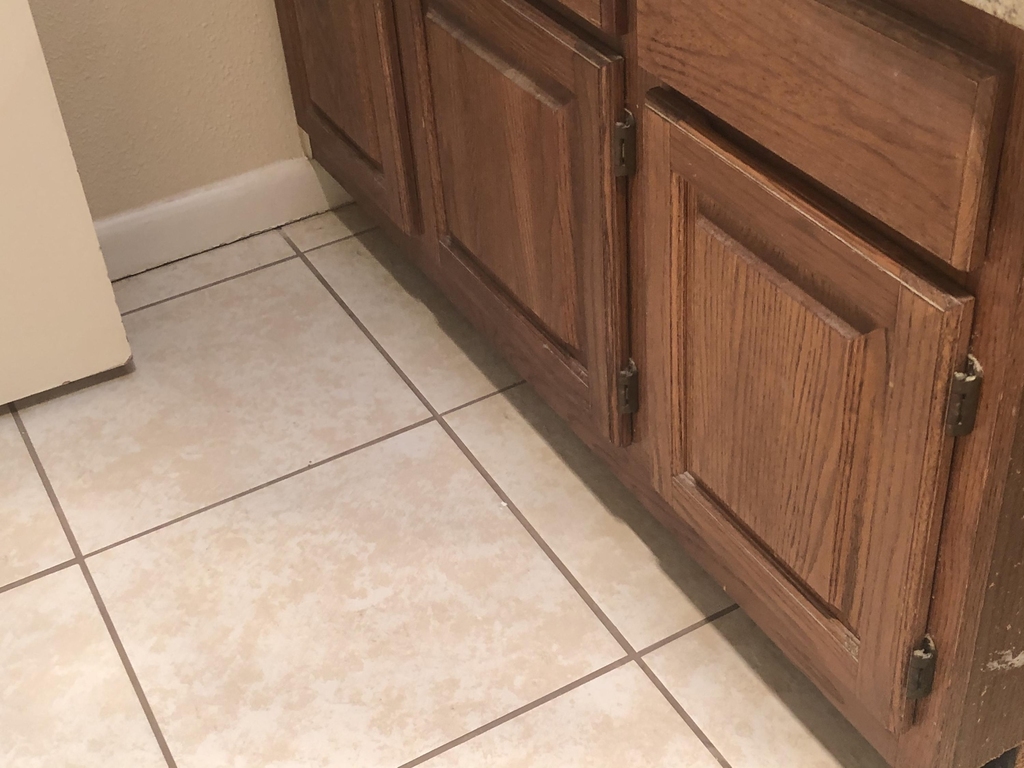 6633 Amposta Drive - Photo 7