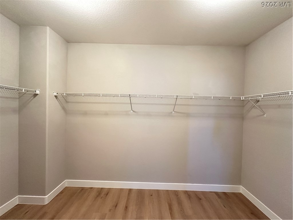 5869 Amber Mesa Street - Photo 16