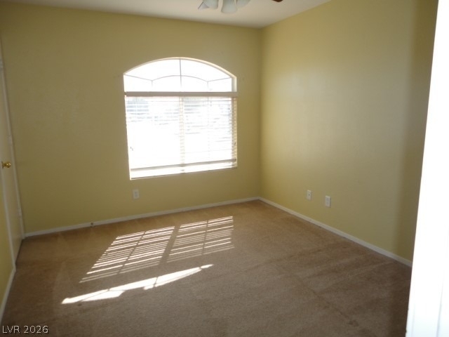974 Sweeping Vine Avenue - Photo 4