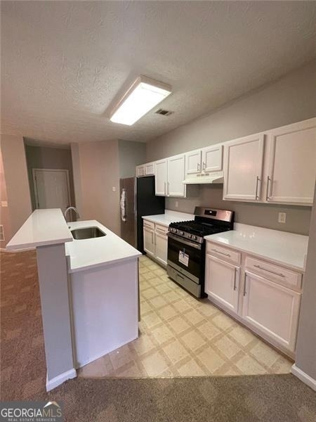 1028 Montague Place Court - Photo 11