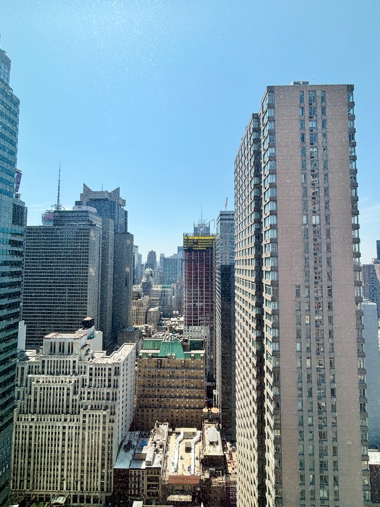 West 48th Street - Photo 11