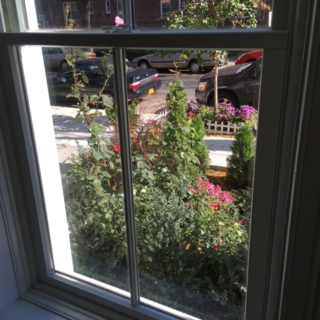 51st Street - Photo 5