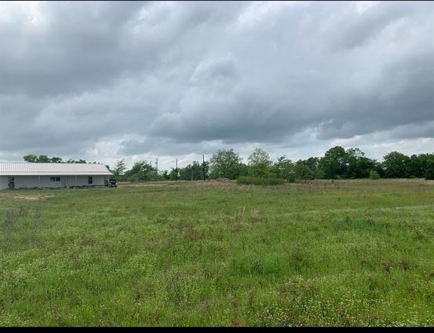 1449 County Road 4131 - Photo 8