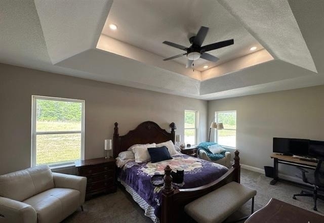 1449 County Road 4131 - Photo 1
